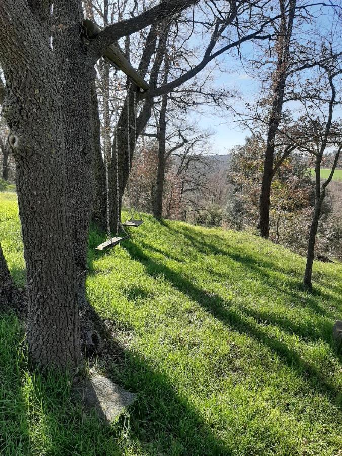 Allotjament Rural Сольсона Екстер'єр фото