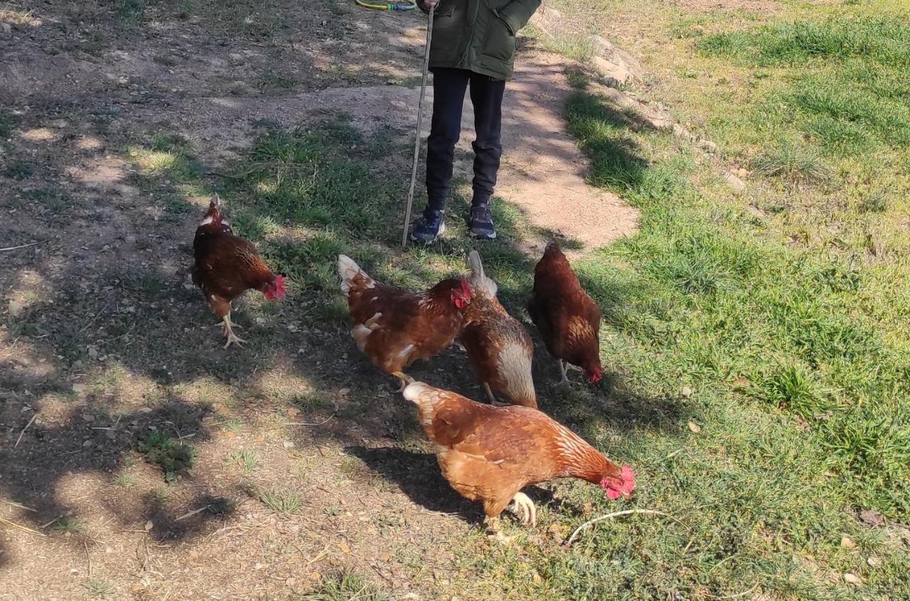 Allotjament Rural Сольсона Екстер'єр фото